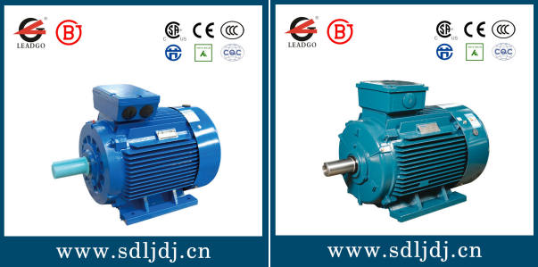 YX3高效電機和YE3超高效電機